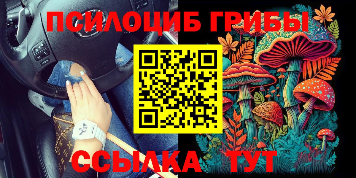 Галлюциногенные грибы ЛСД Владимир