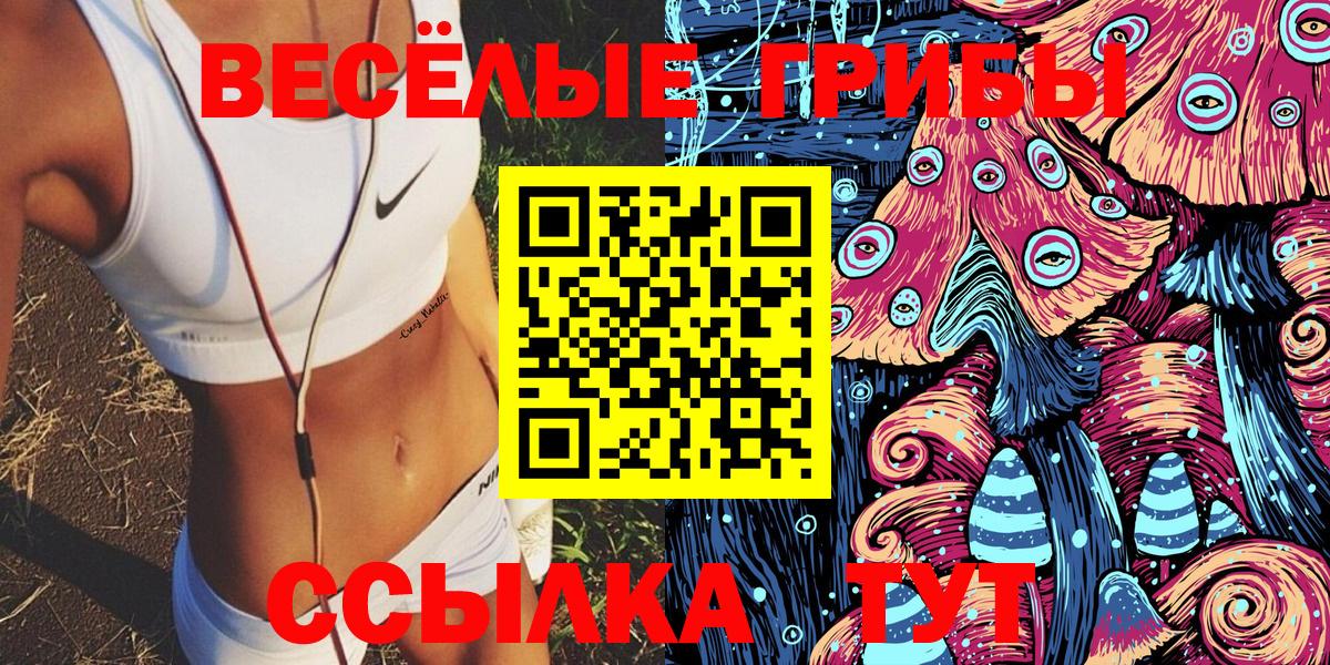 Владимир  Галлюциногенные грибы MAGIC MUSHROOMS  Вход с VPN  Галлюциногенные грибы Cubensis 